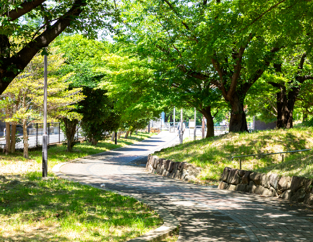 荒川赤羽緑地(徒歩14分/約1,060m)