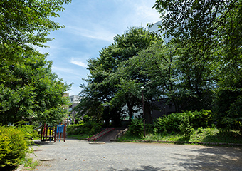 北新井公園