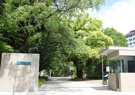 武蔵高等学校中学校