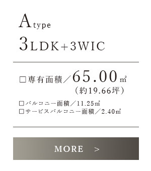 Atype