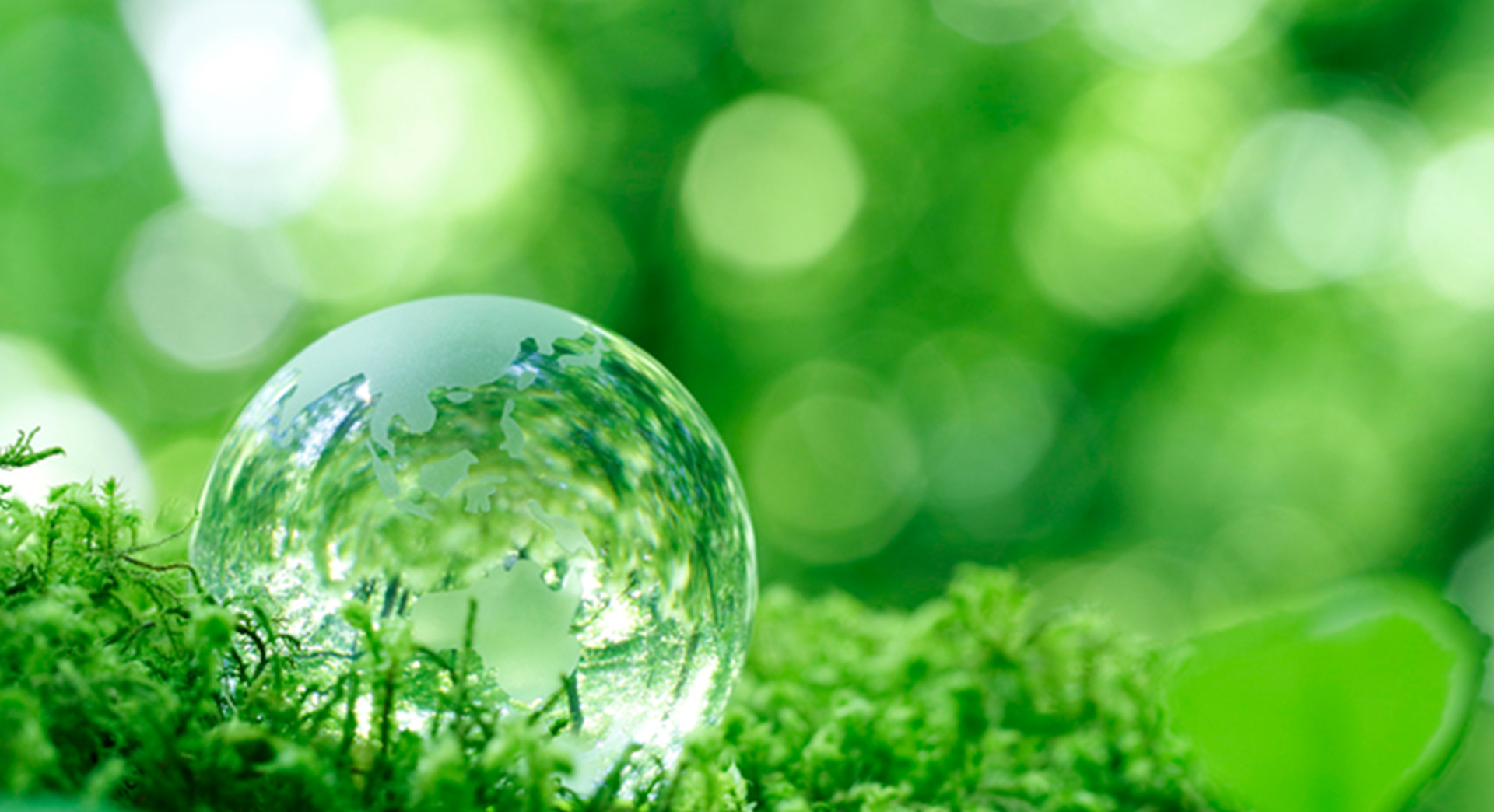 SUSTAINABLE