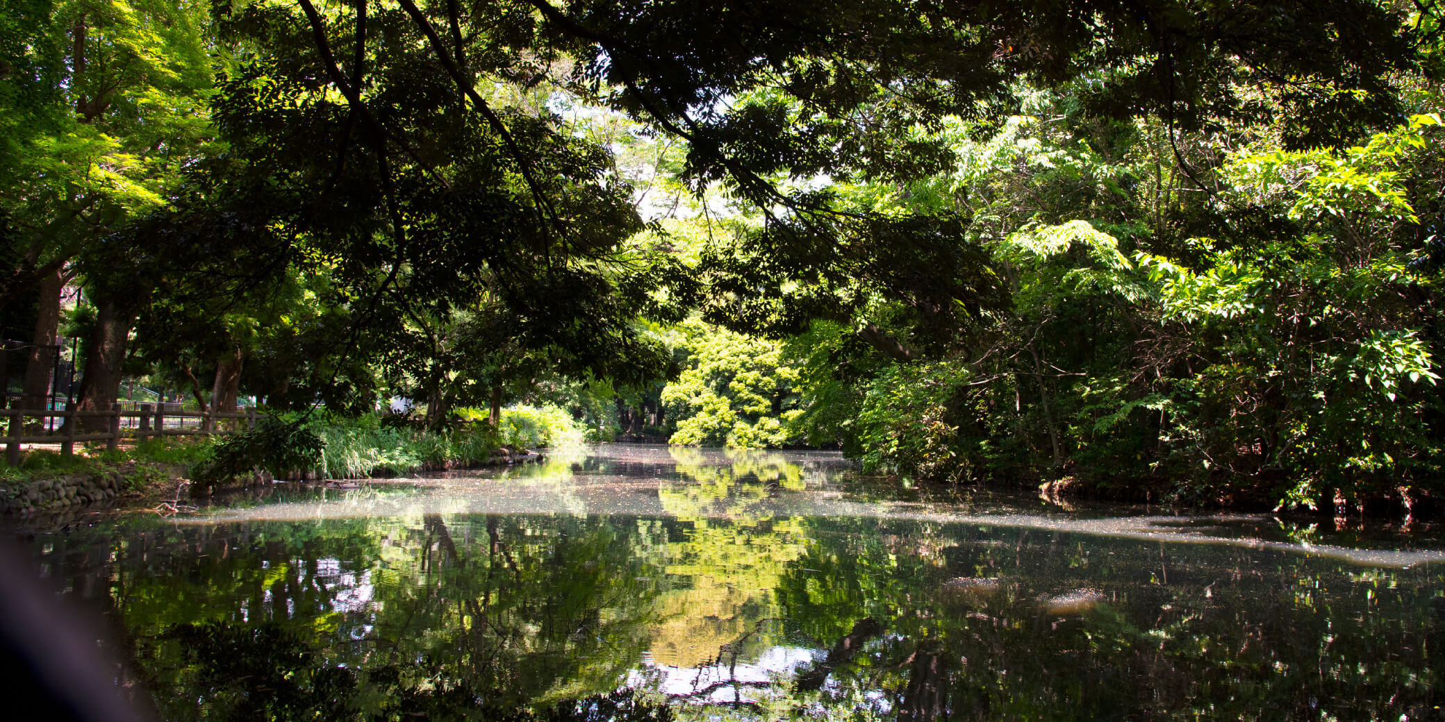 和田堀公園（徒歩10分/約770m）