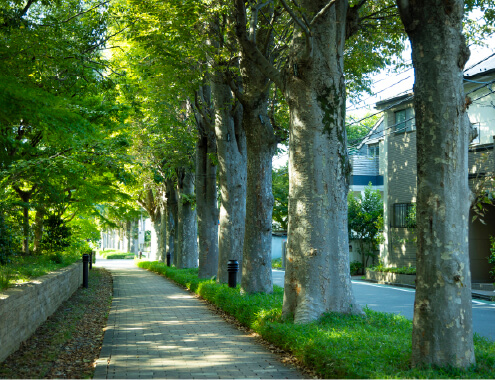 現地周辺の街並み写真