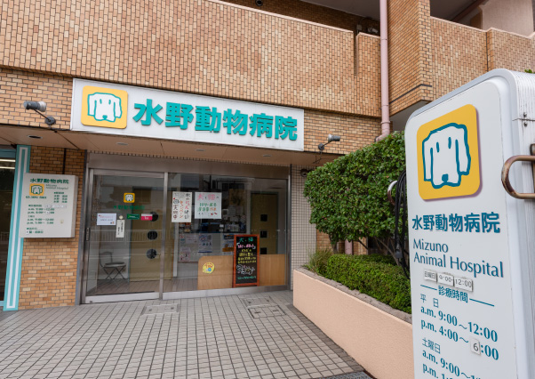水野動物病院(徒歩3分・約210m)