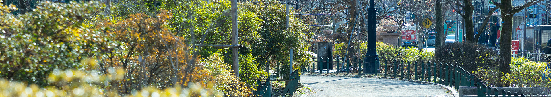 平成つつじ公園