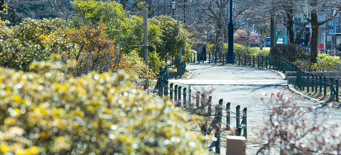 平成つつじ公園