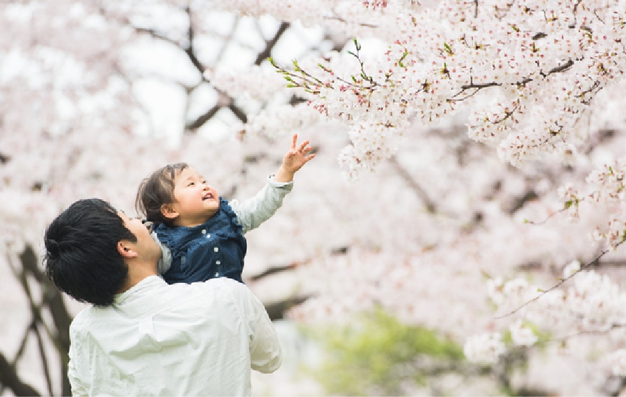 お花見広場